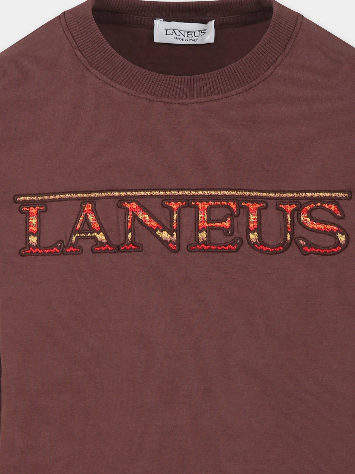 Felpa marrone per bambini con logo ricamato,Laneus Kids,F5LKJUSW072 920
