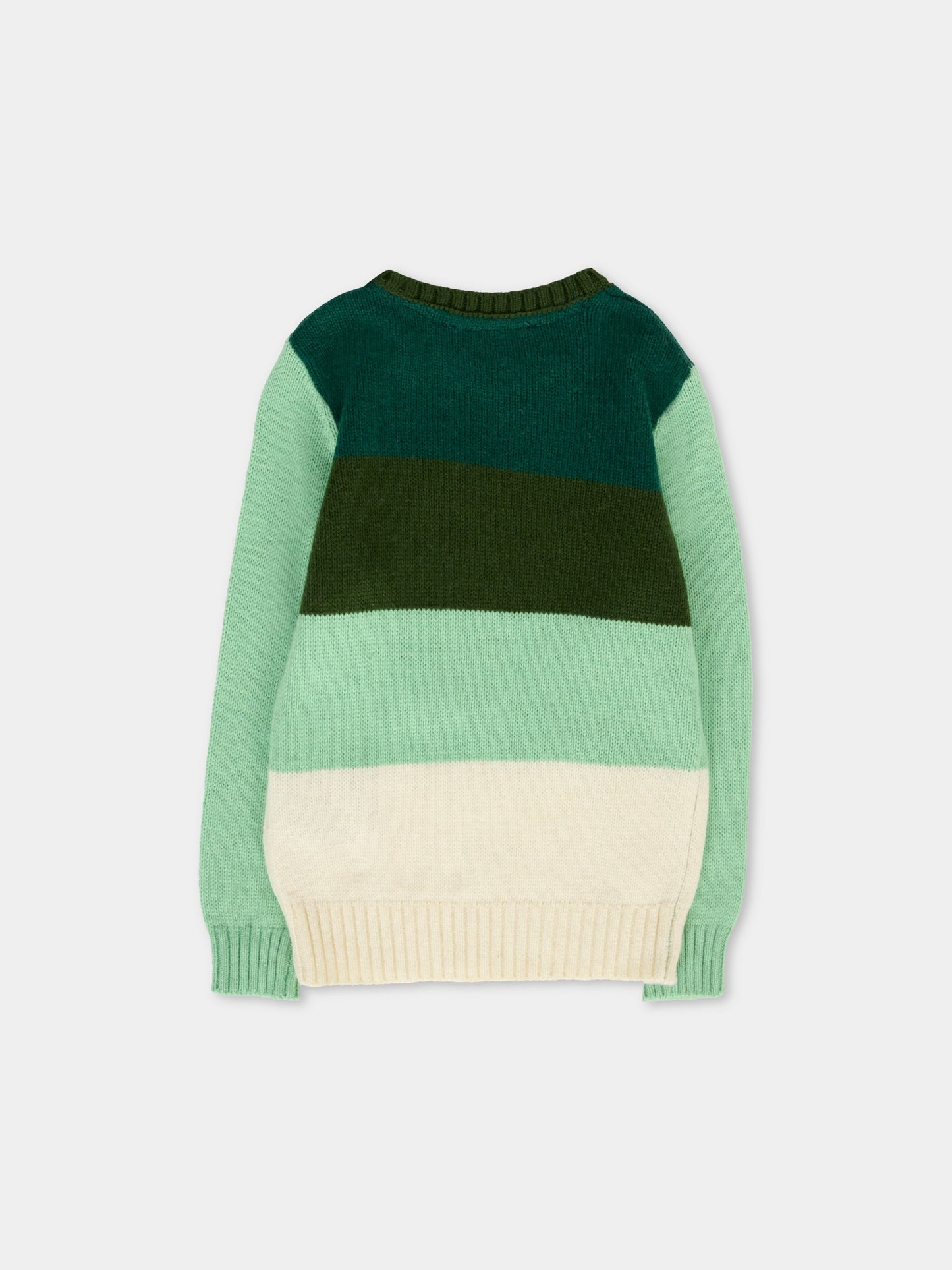 Maglione multicolor per neonato con ricamo,Trussardi Junior,TIA25136MA PINENEEDLE