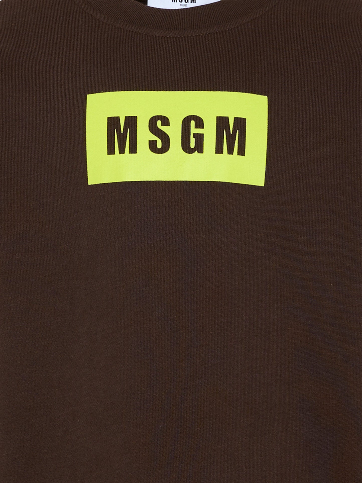 Felpa marrone per bambini con logo box,Msgm Kids,S6MSJUSW009 943