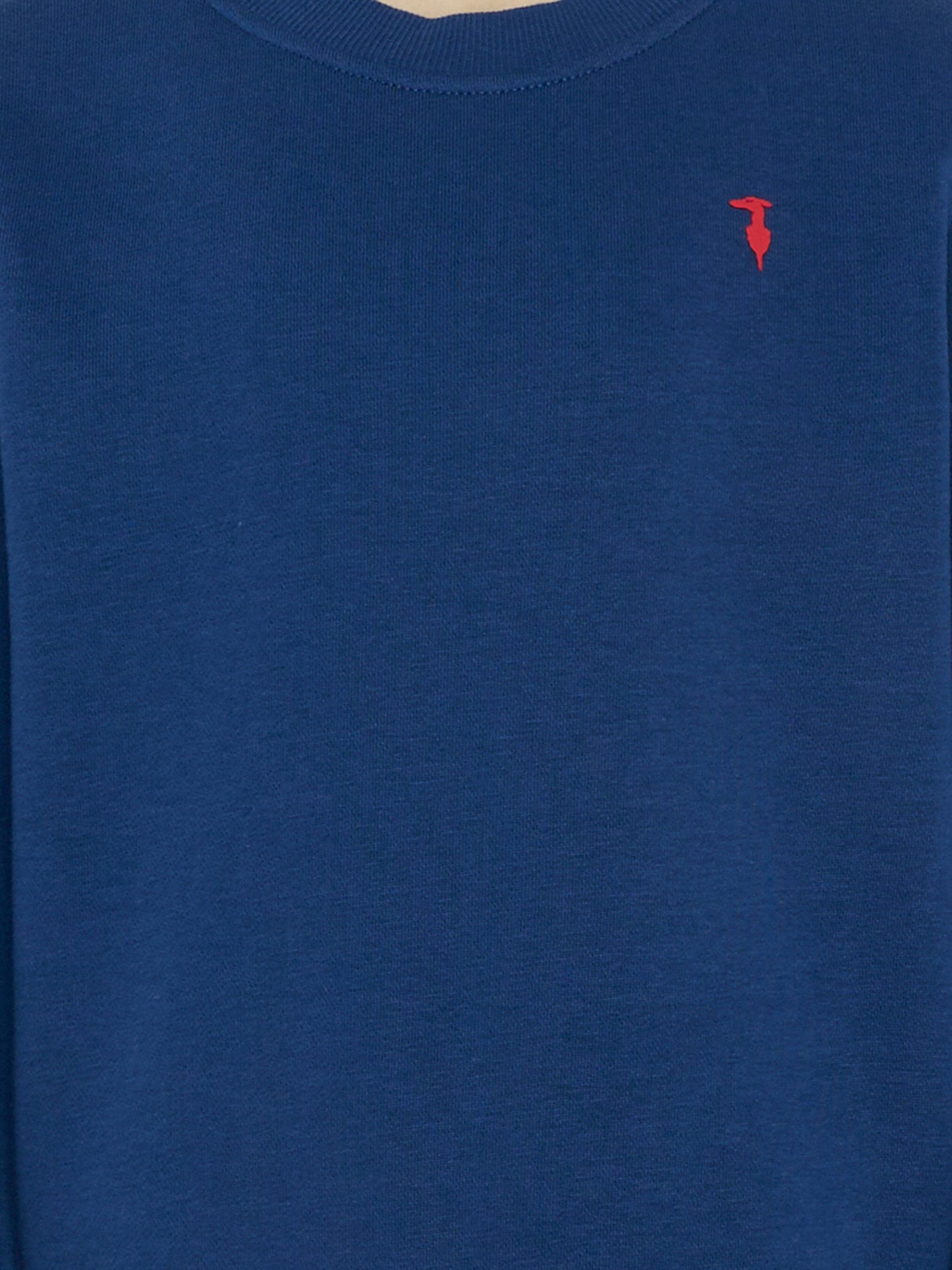 Felpa blu per bambino con logo,Trussardi Junior,TBP26001FE BLUE ESTATE