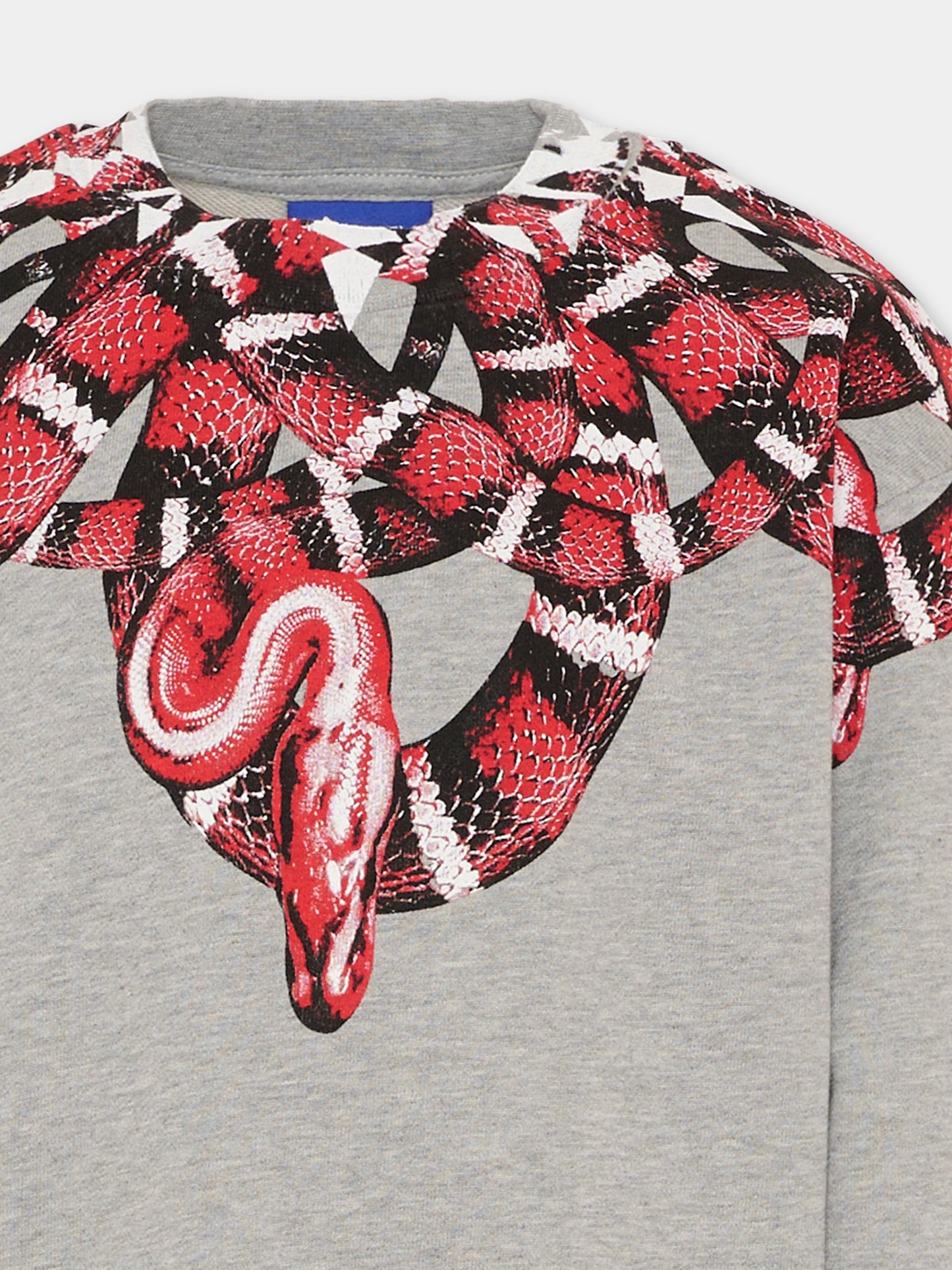 Felpa grigia per bambino con serpente,County Of Milan Kids,F5CMJBSW104 101