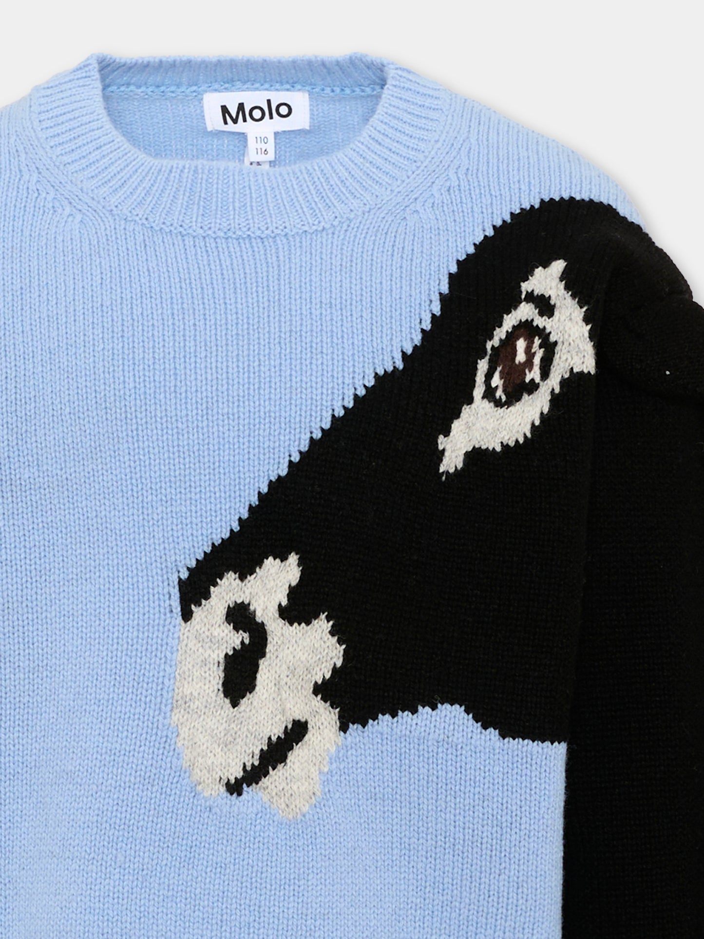 Maglione celeste Griselda per bambina,Molo,2W26K214 5731