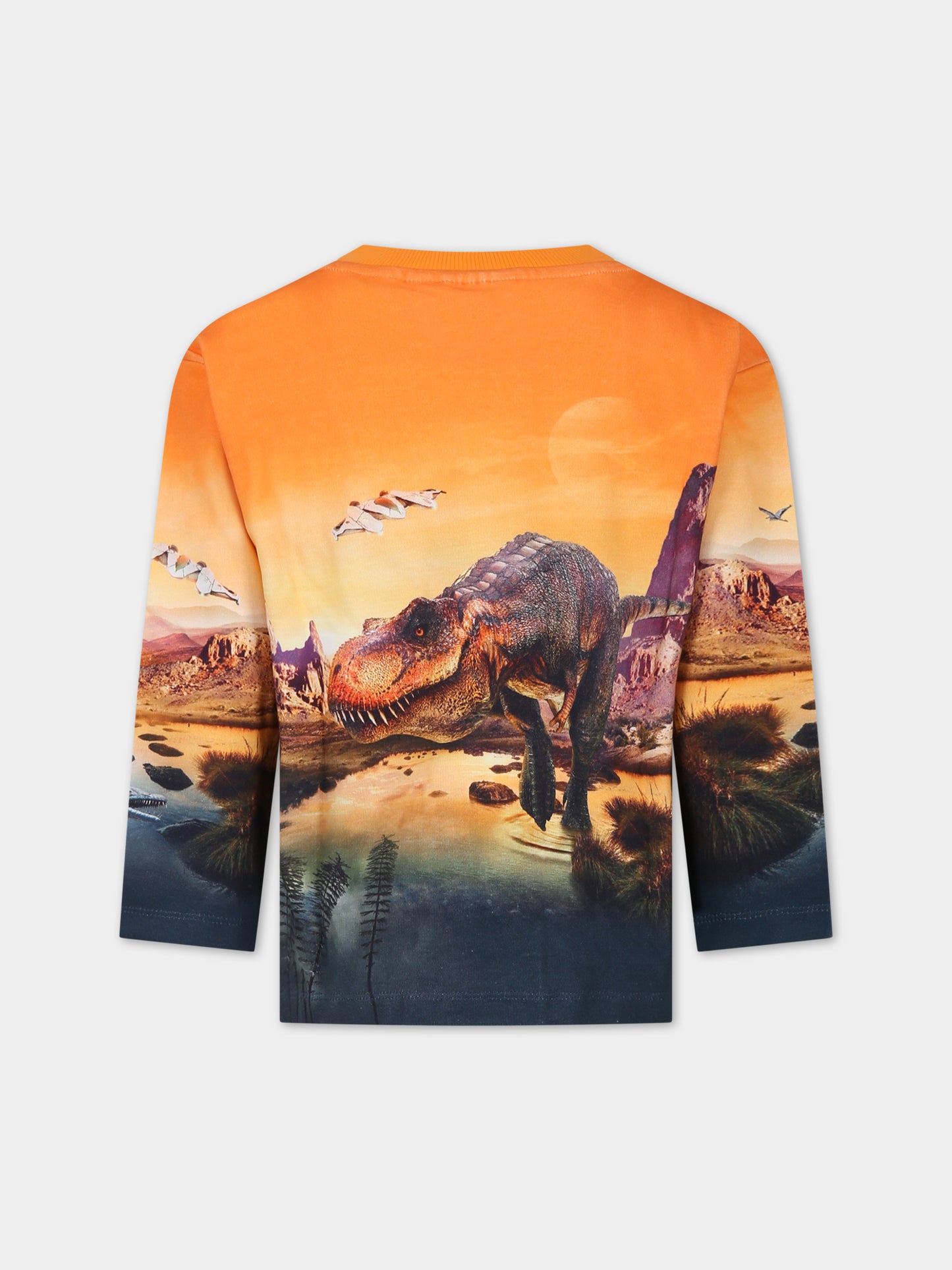 Felpa arancione per bambino con dinosauri,Molo,1W23J204 3319