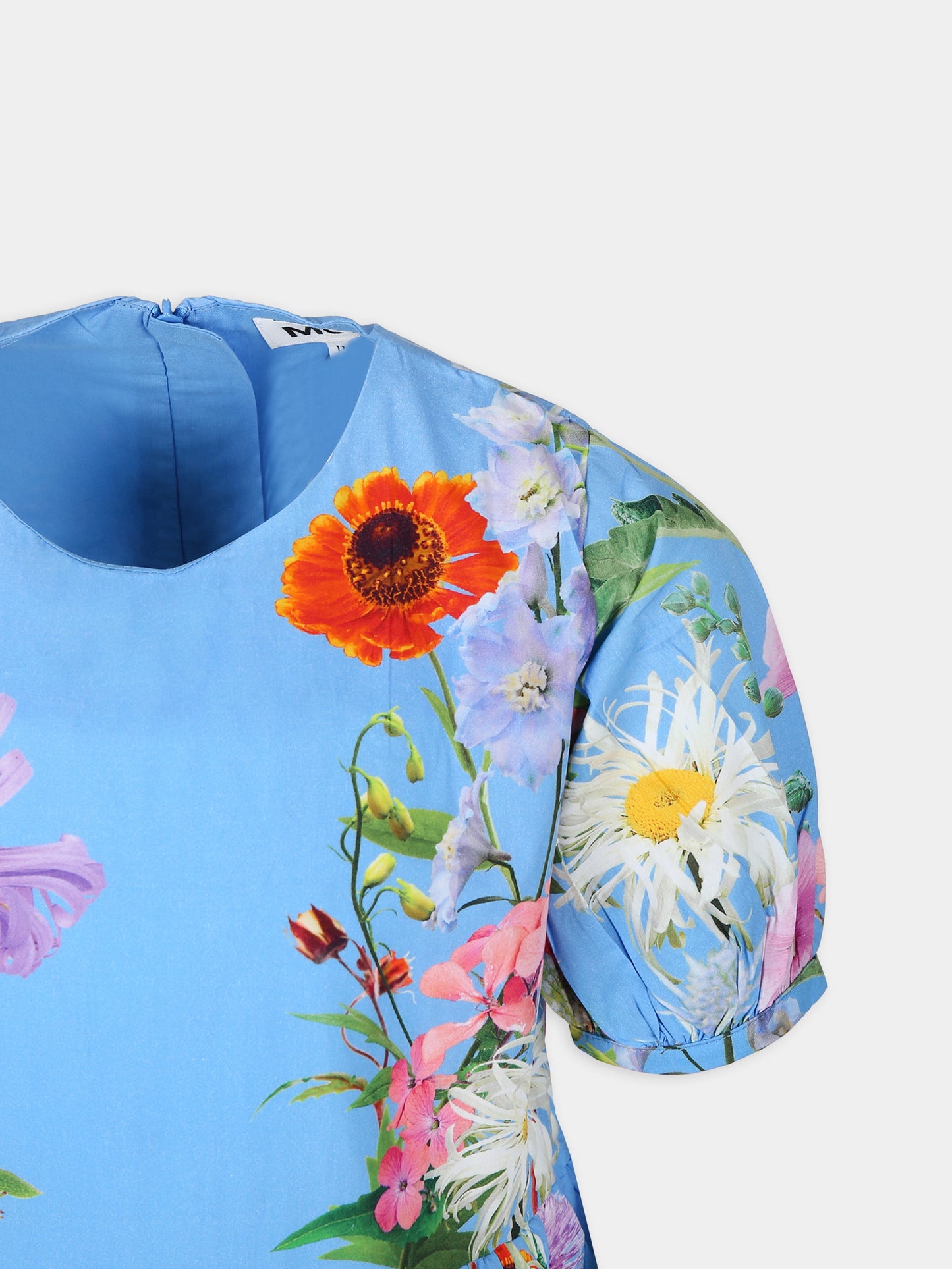 Vestito Casey casual azzurro per bambina con fantasia floreale,Molo,2S24E140 3485