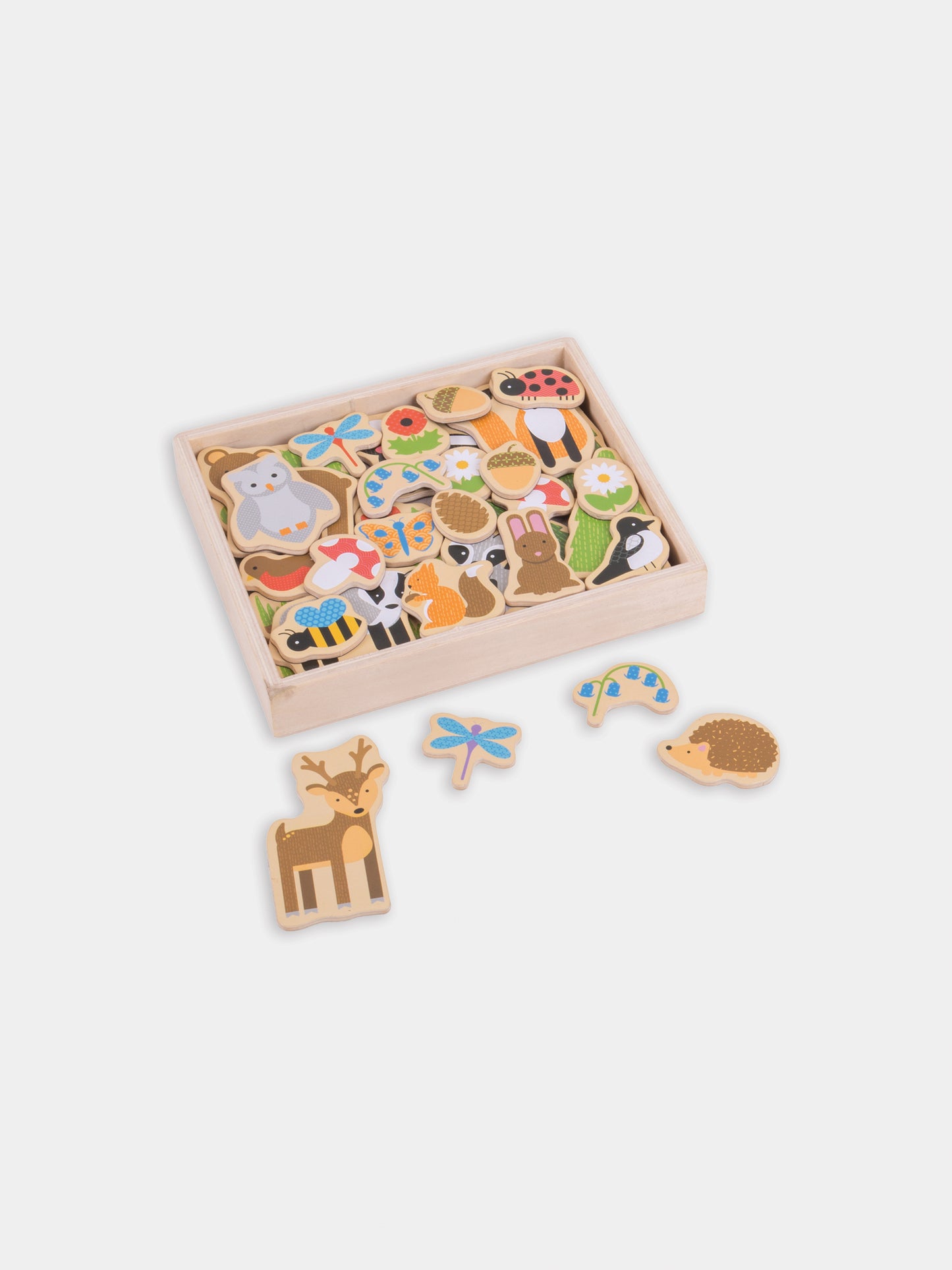 Set magneti multicolor per bambini,Bigjigs,BJ275