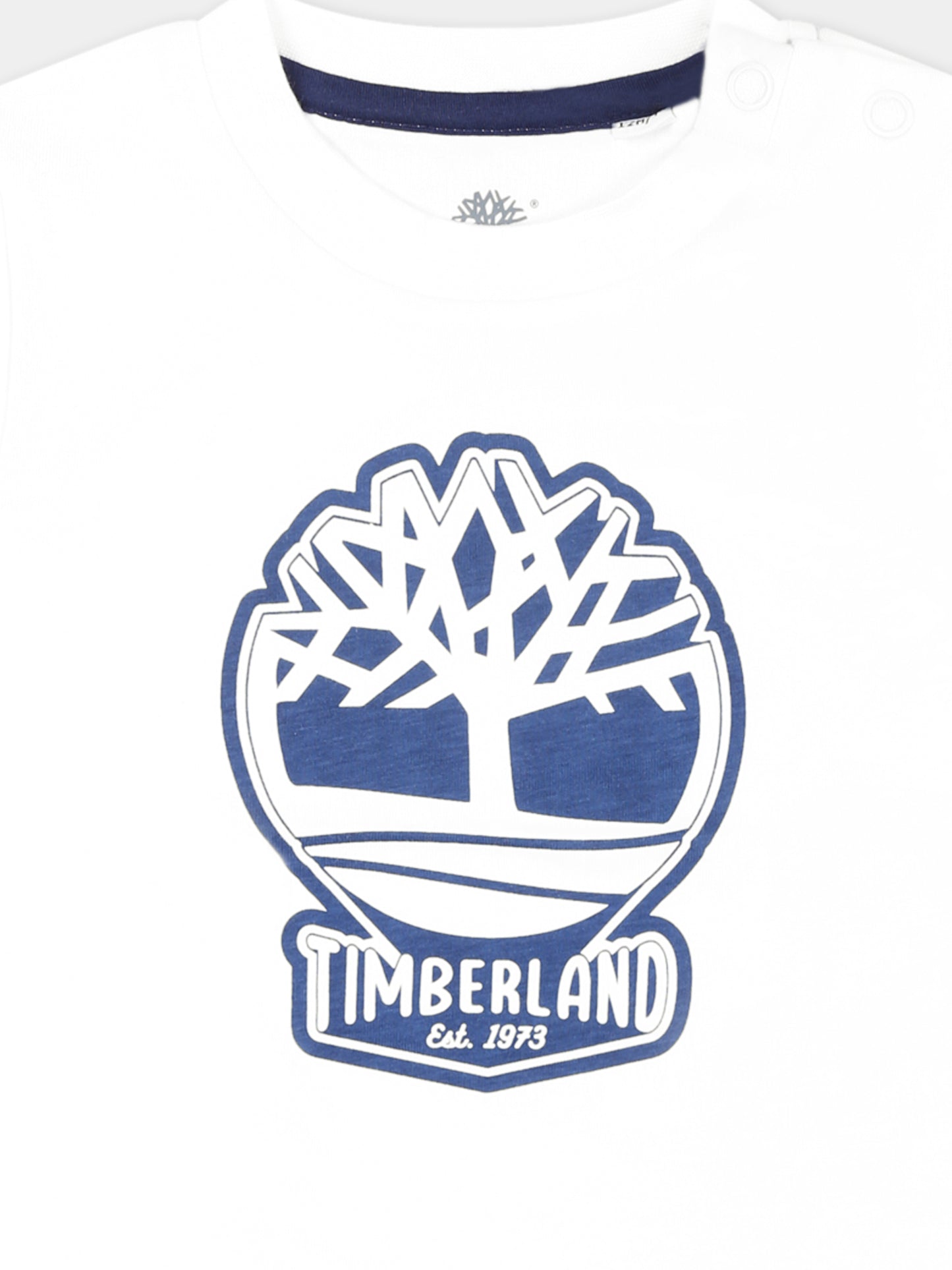 T-shirt bianca per neonato con albero e logo,Timberland,T60506 10P