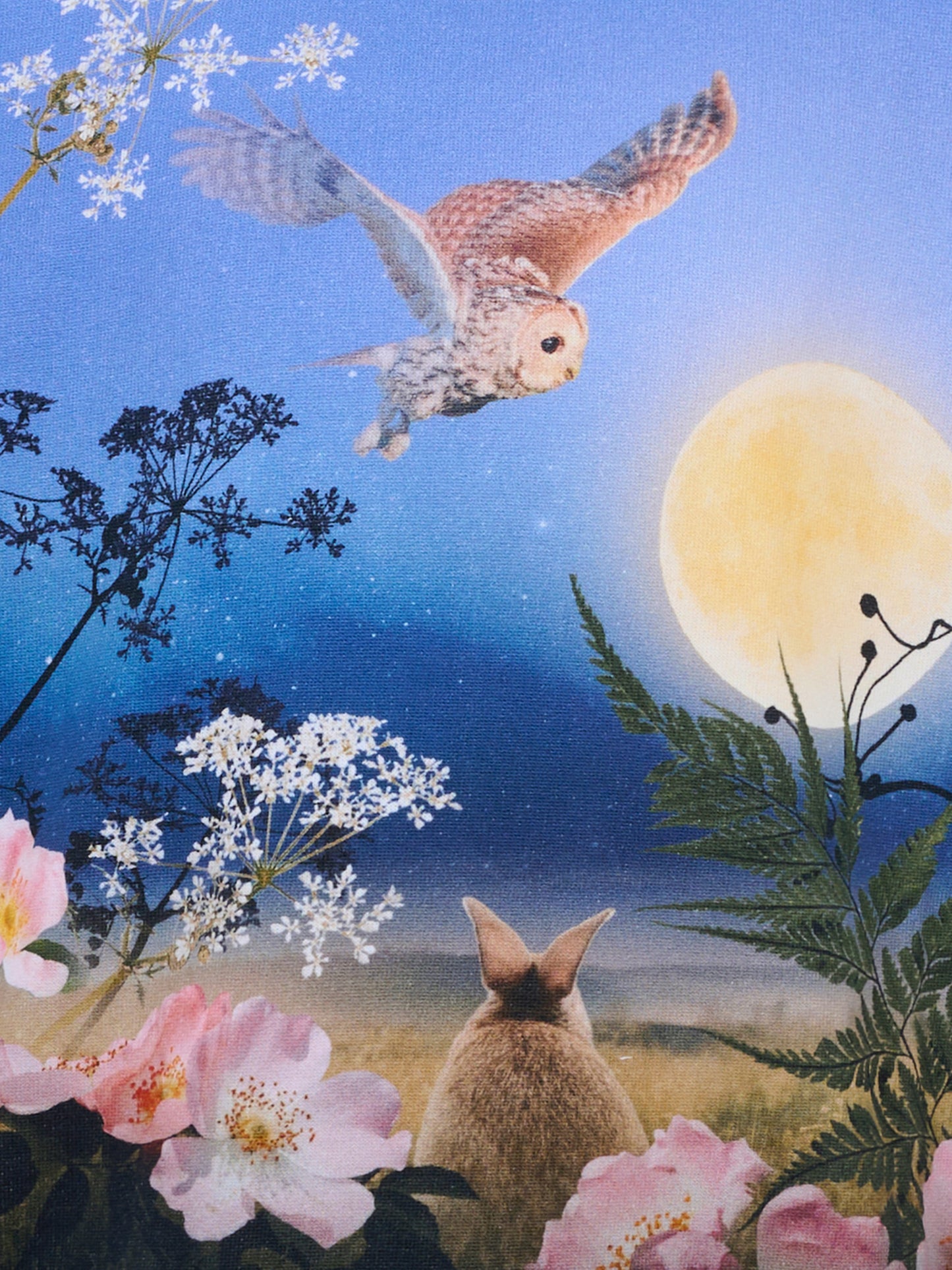 Felpa Maxi blu per bambina con luna,Molo,2W25J211 9625