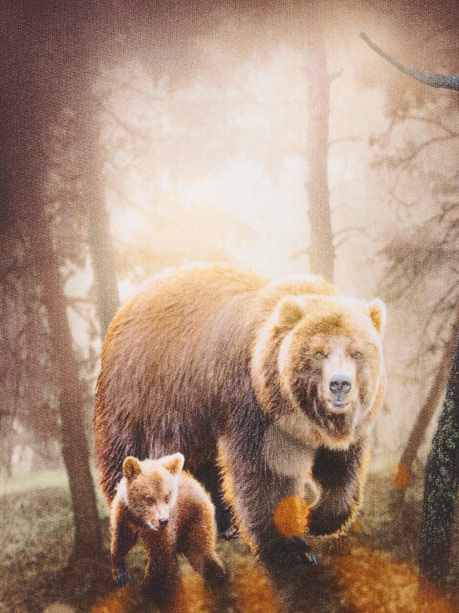 Felpa Mattis marrone per bambino con stampa orso,Molo,1W25J203 9657