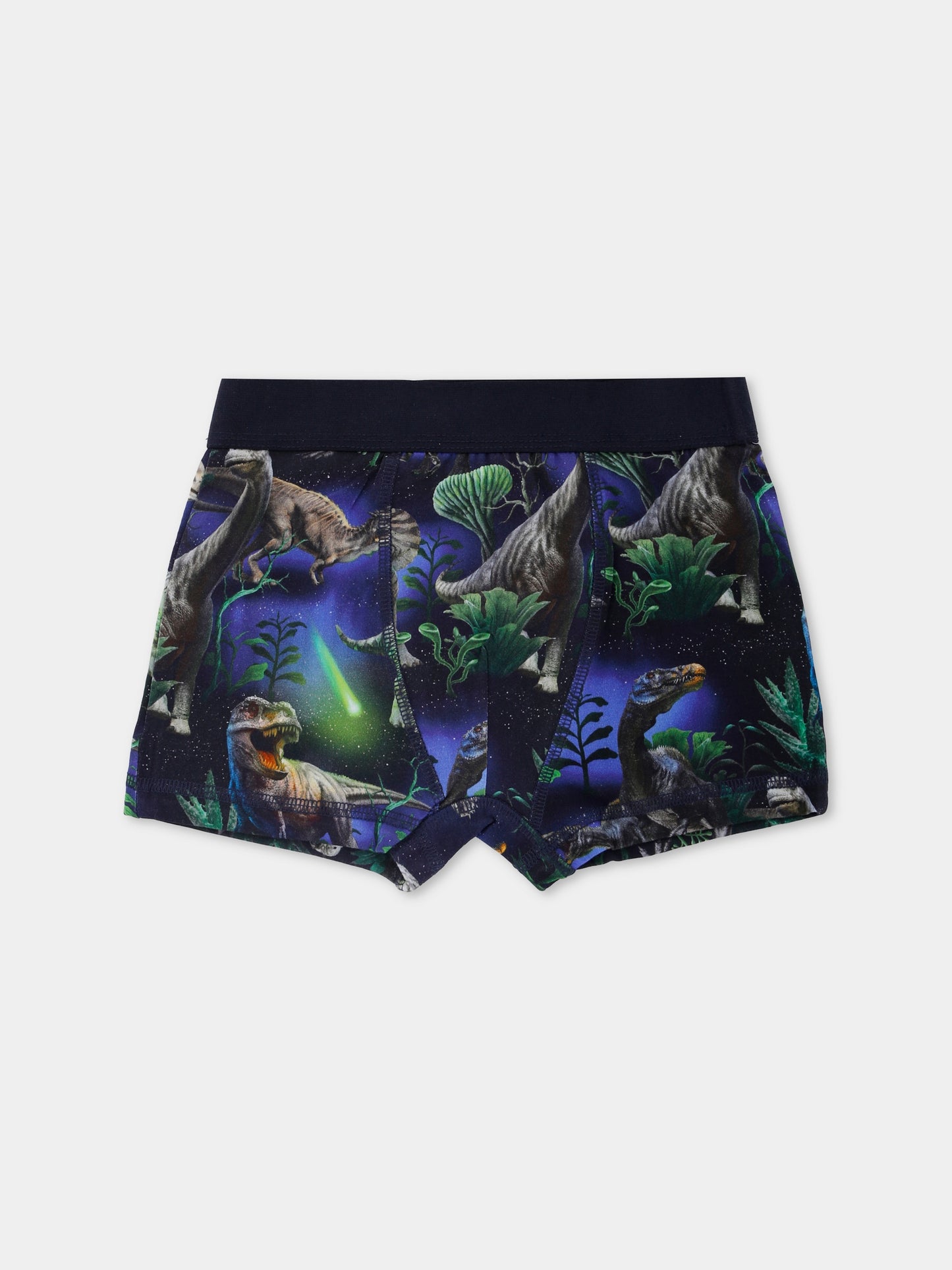 Set boxer Justin blu per bambino con dinosauri,Molo,1W25Q201 9457
