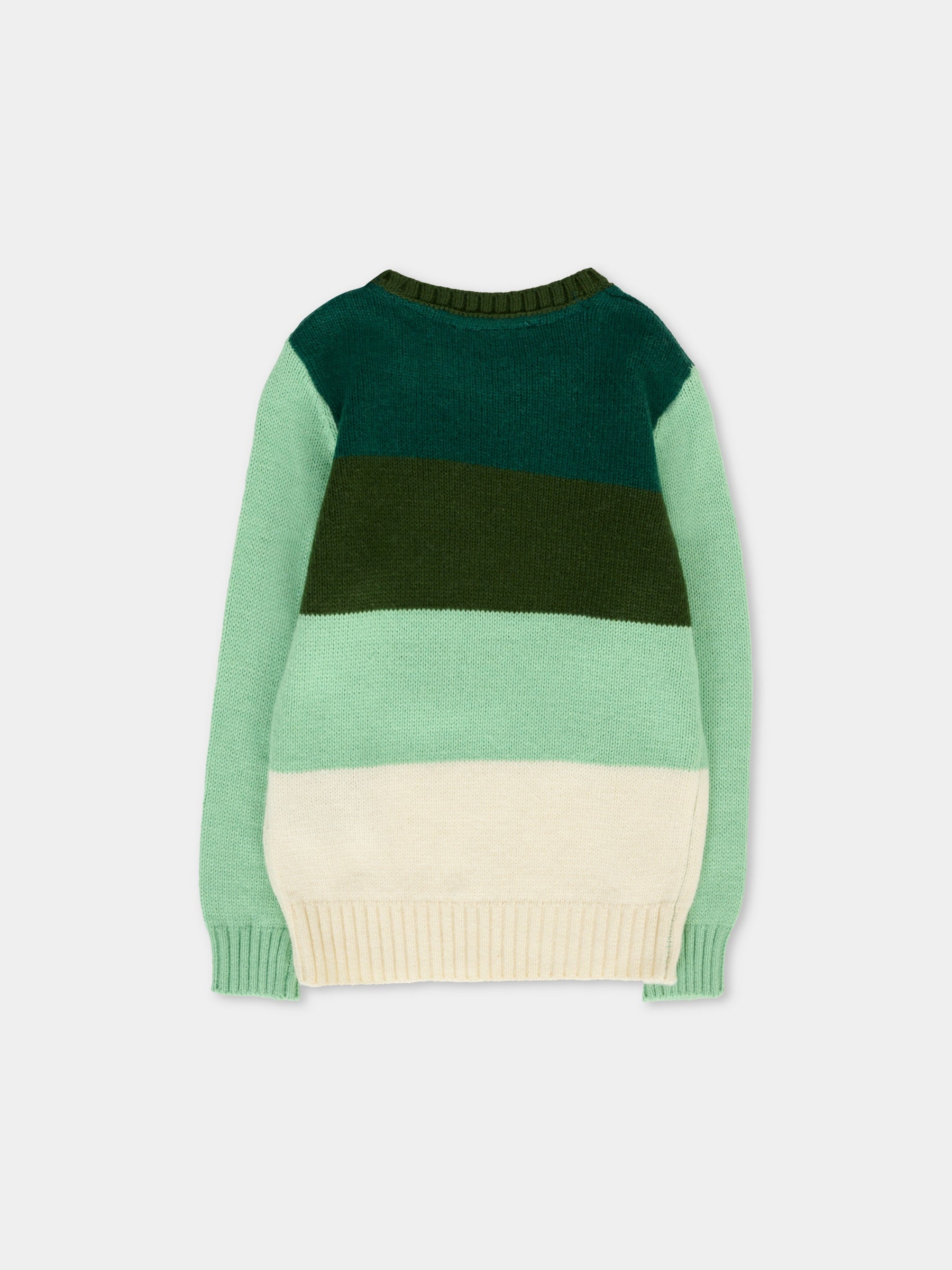 Maglione multicolor per neonato con ricamo,Trussardi Junior,TIA25136MA PINENEEDLE