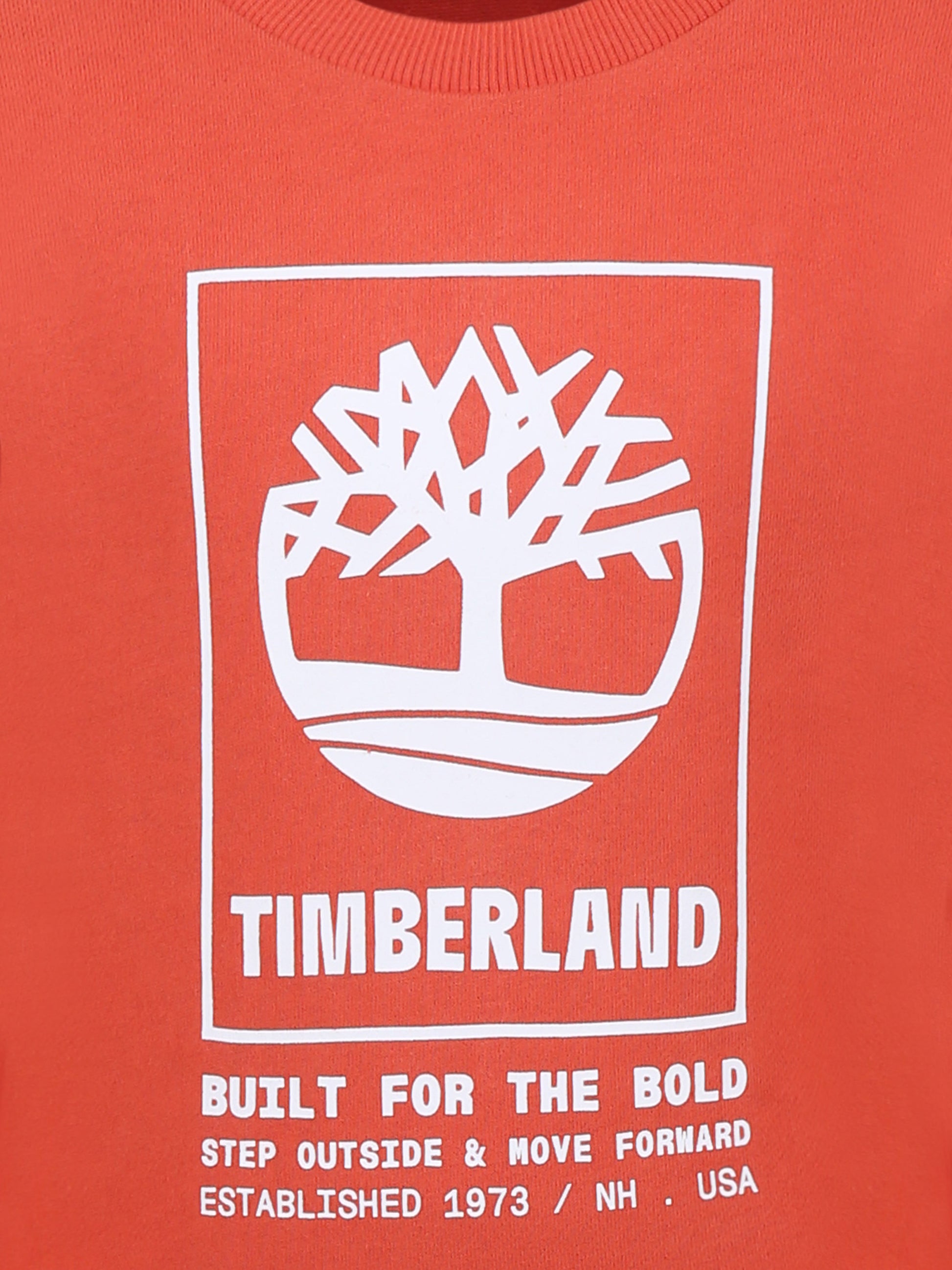 Felpa rossa per bambino con logo,Timberland,T60075 96G