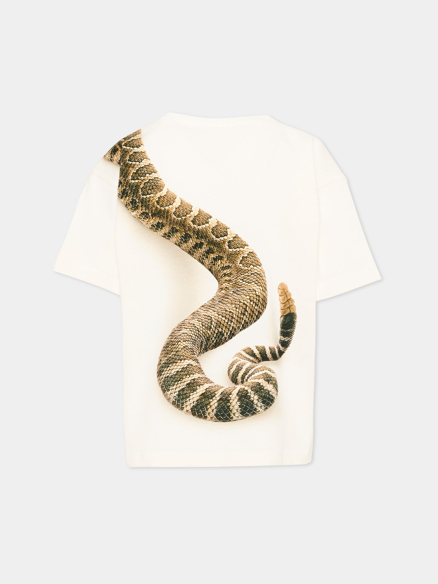 T-shirt avorio Rillo per bambino con stampa serpente,Molo,1S26A218 9877