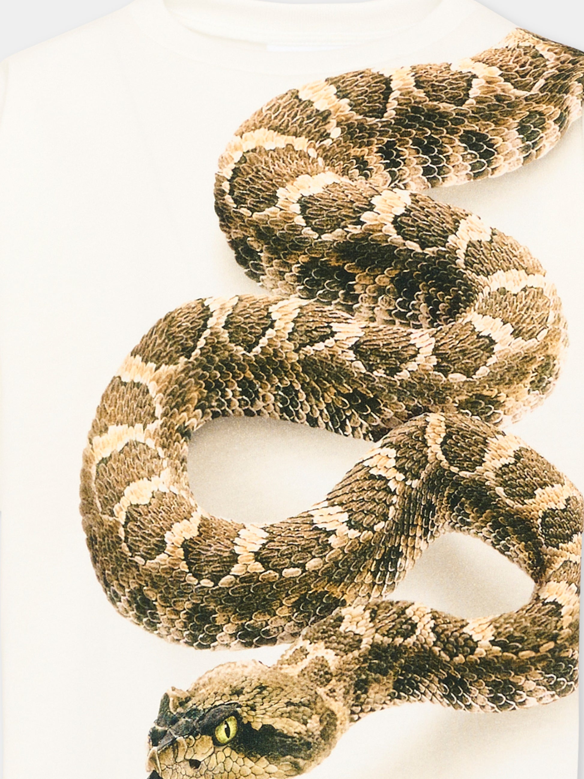 T-shirt avorio Rillo per bambino con stampa serpente,Molo,1S26A218 9877