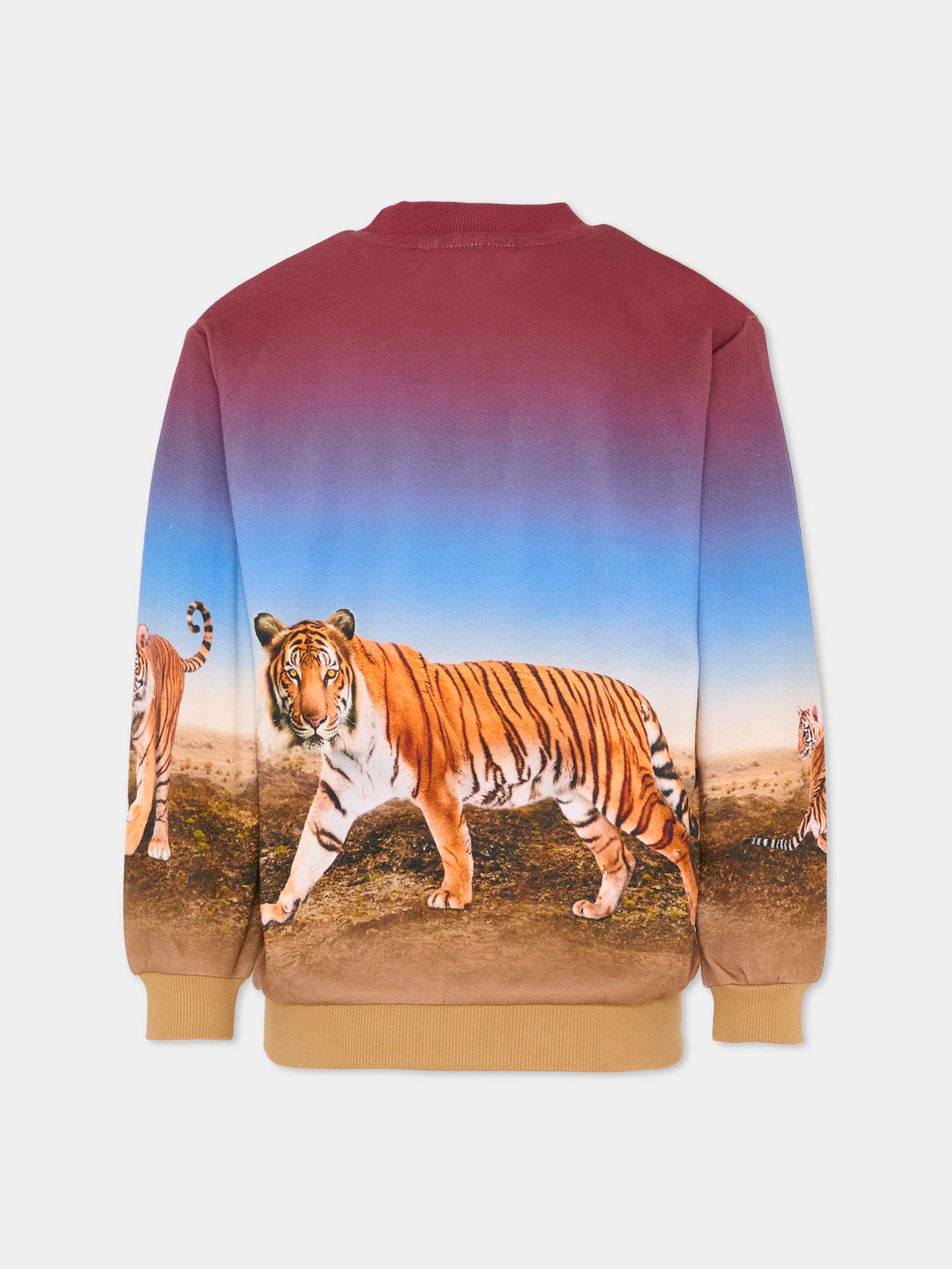 Felpa Miksi multicolor per bambino con tigre,Molo,1S26J205 9861
