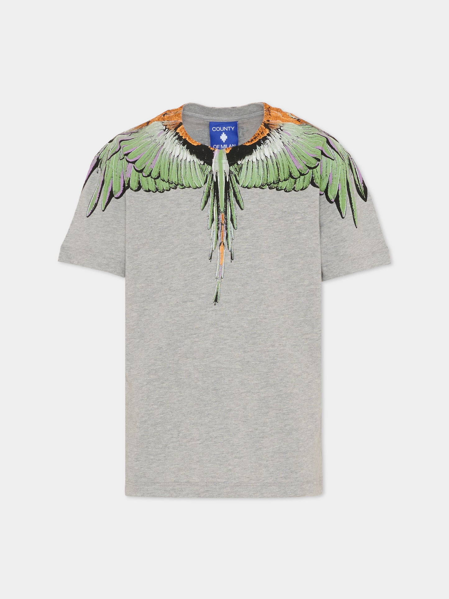 Grey T-shirt for boy with wings