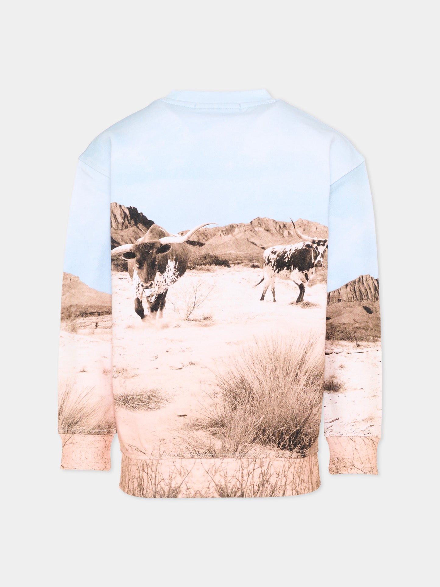 Felpa multicolor con stampa deserto per bambino,Scotch&soda,183026 260