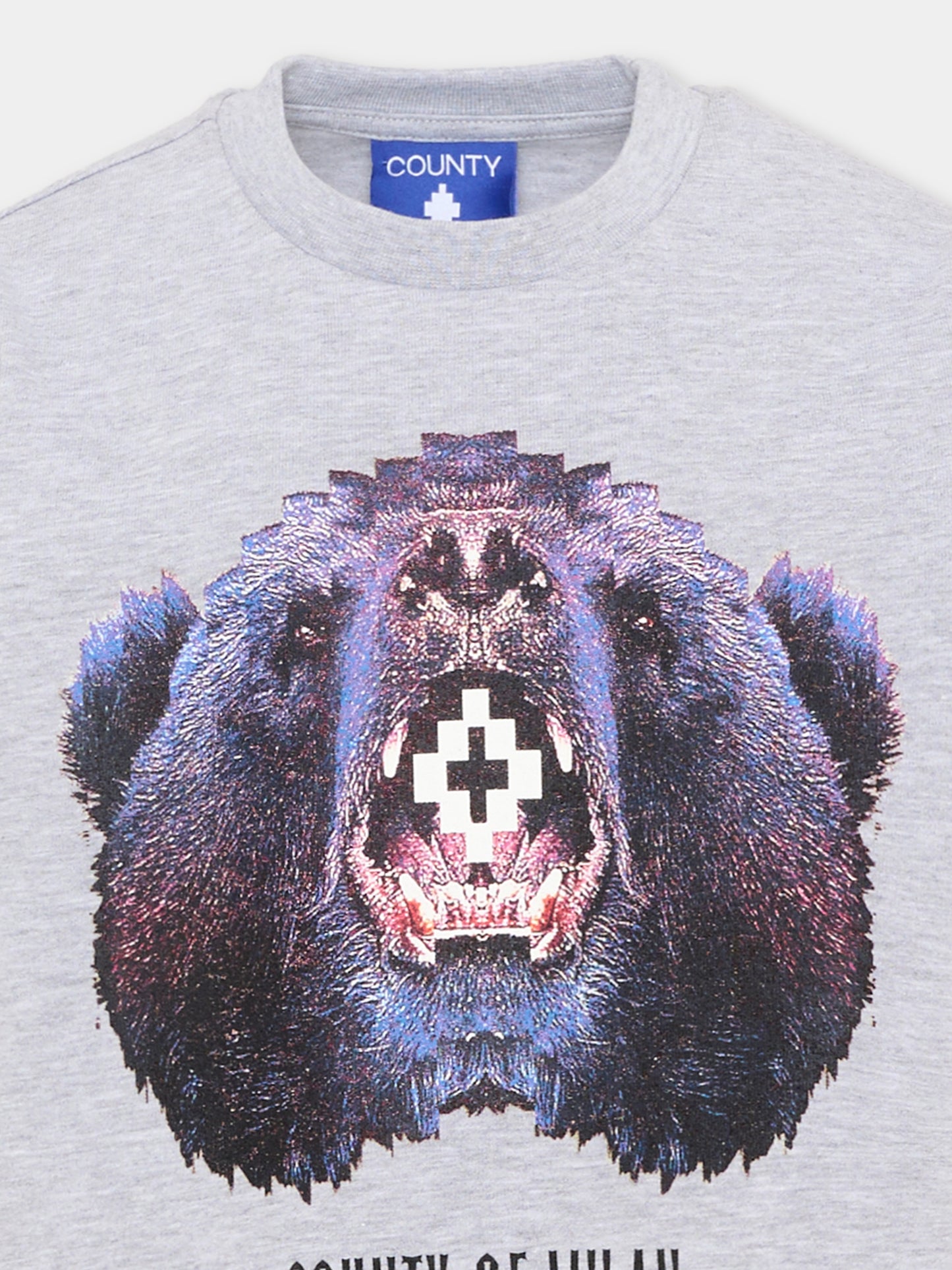 T-Shirt grigia per bambino con orso,County Of Milan Kids,F5CMJBTH080 101