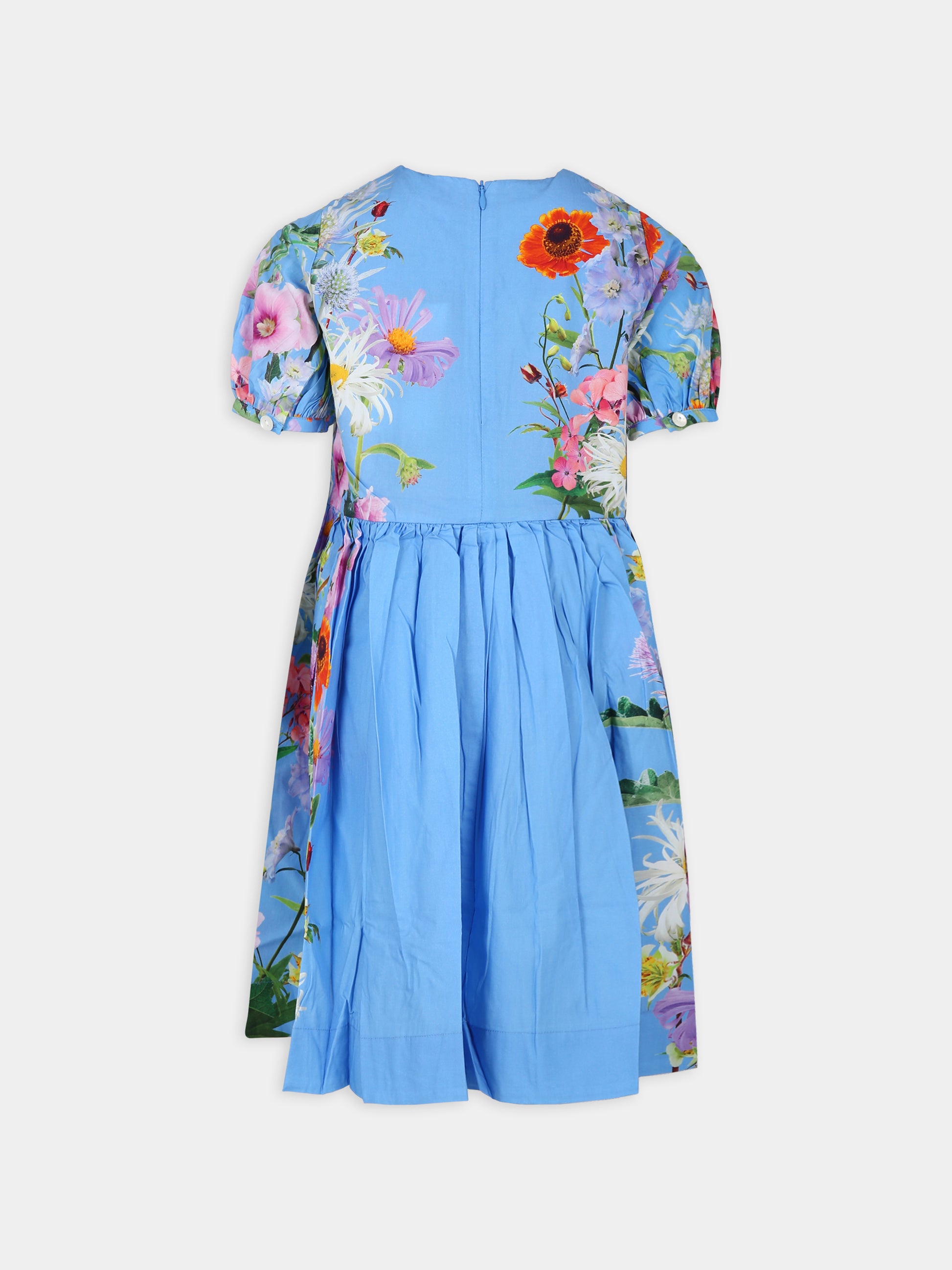 Vestito Casey casual azzurro per bambina con fantasia floreale,Molo,2S24E140 3485