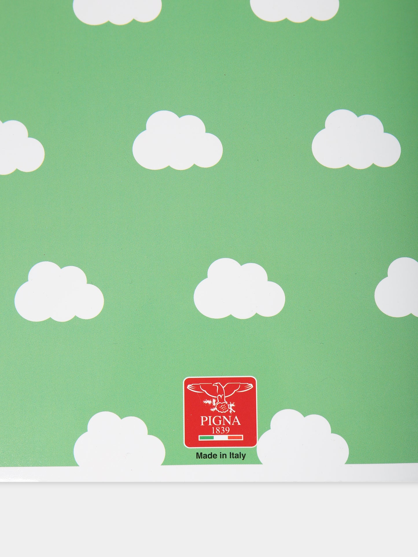 Quaderni Pigna x Cocccolebimbi celeste e giallo,Pigna X Coccolebimbi,ROSA E VERDE