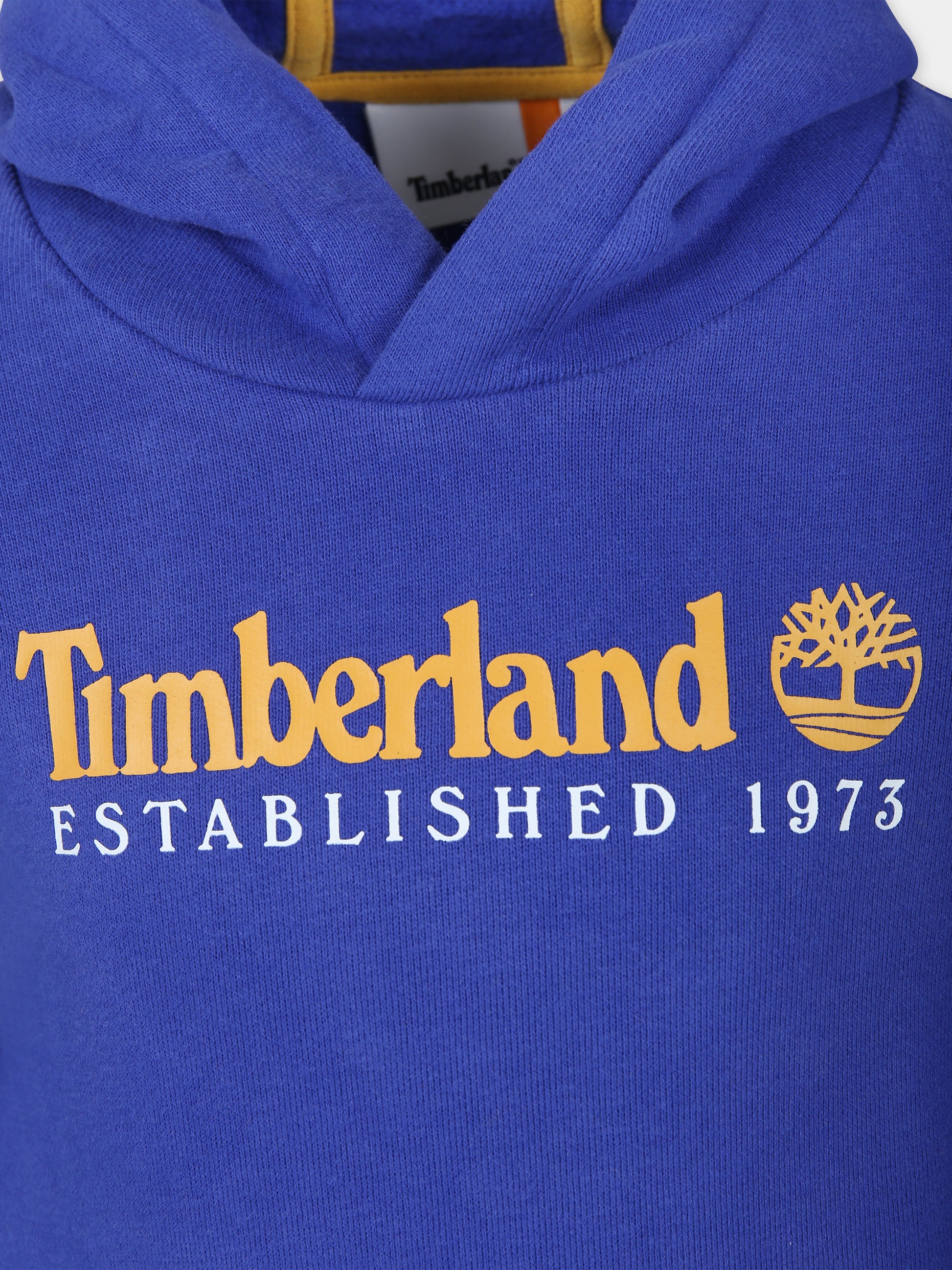 Felpa blu per bambino con logo,Timberland,T25U56 80A
