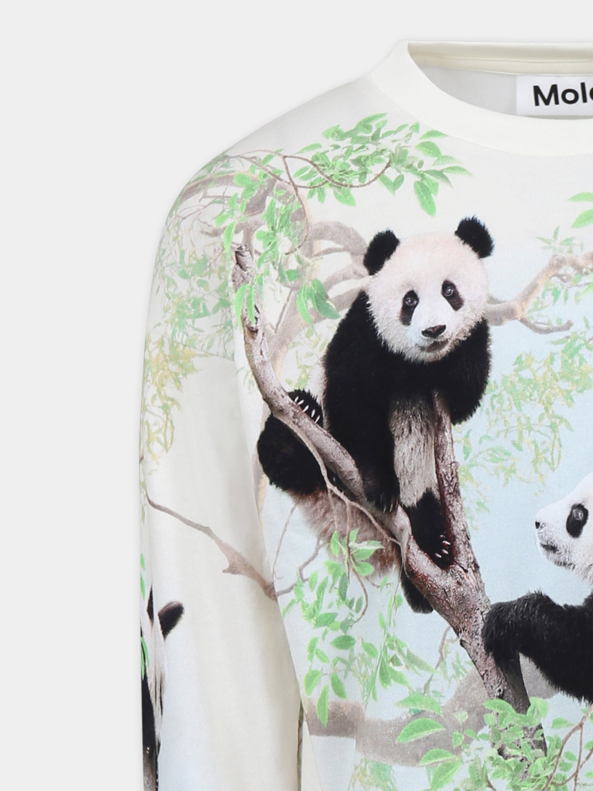 T-shirt avorio Reniza per bambina con panda,Molo,2S25A402 3925