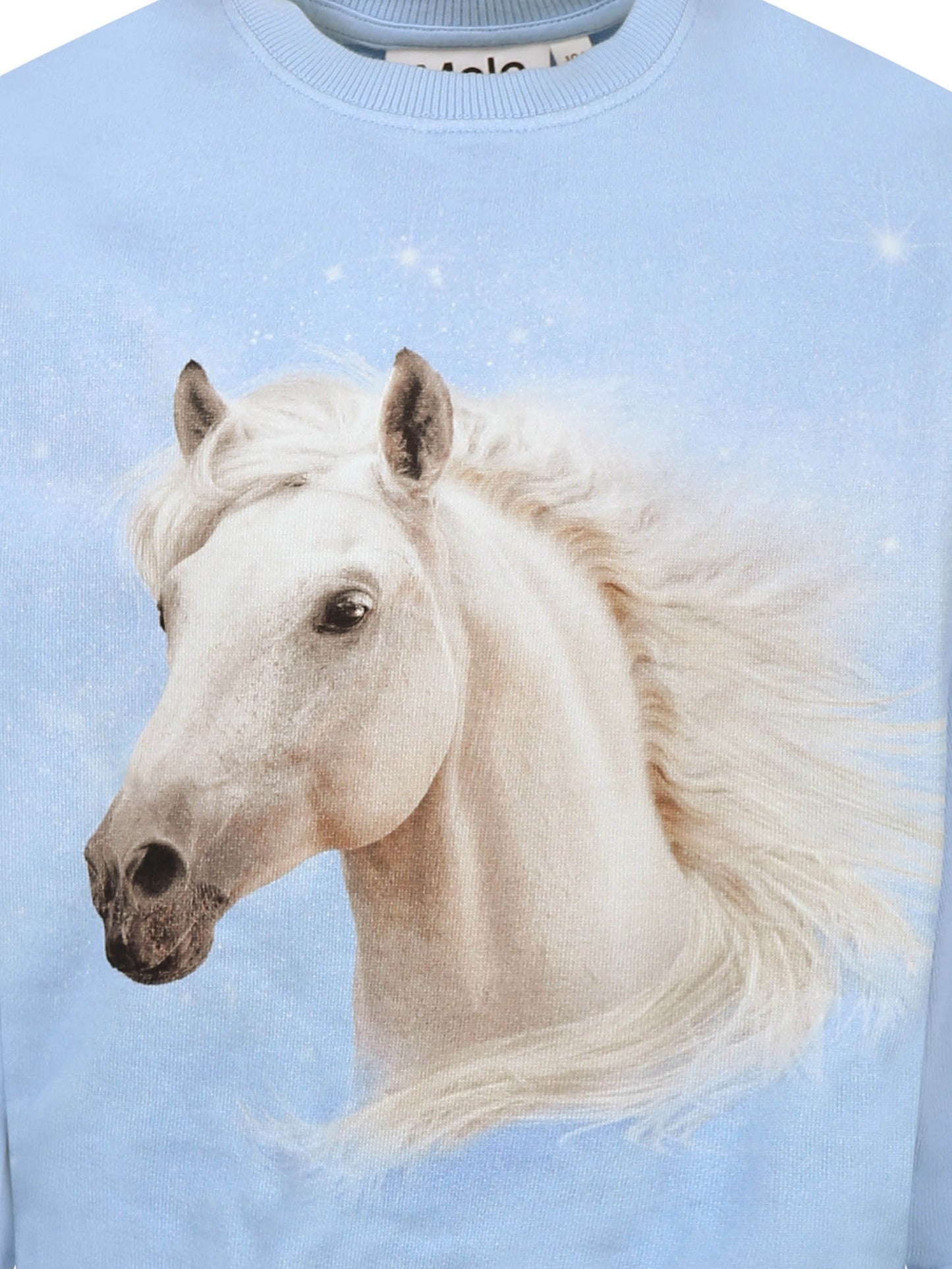 Light blue sweatshirt for girl with horse print