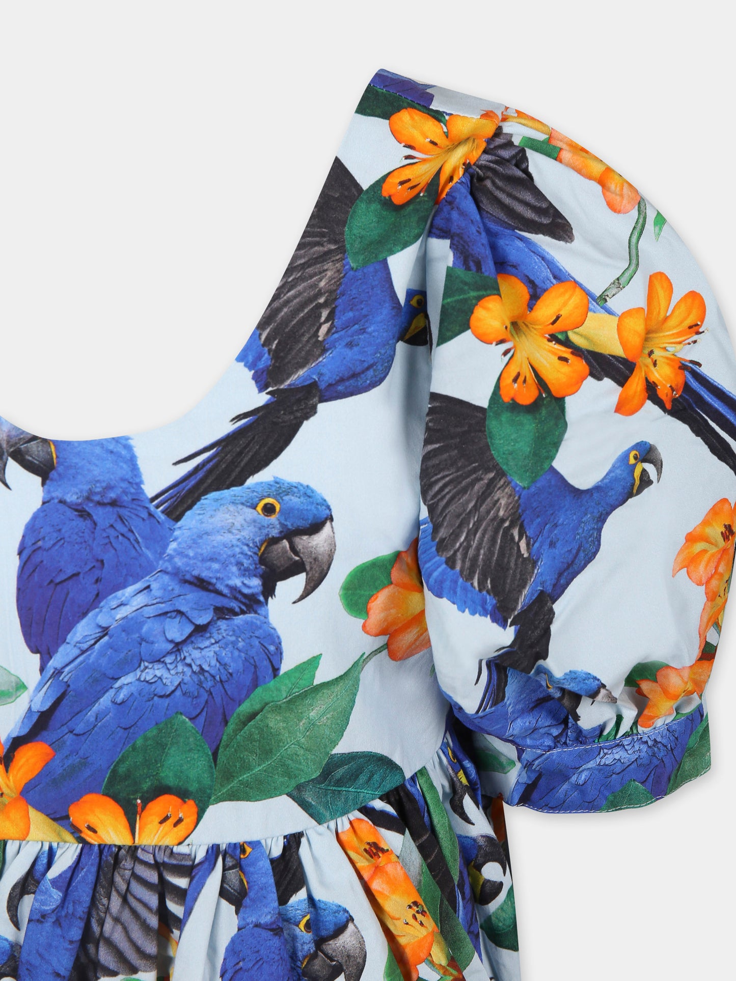 Vestito Camilo celeste per bambina con pappagalli e fiori,Molo,2S25E118 9266