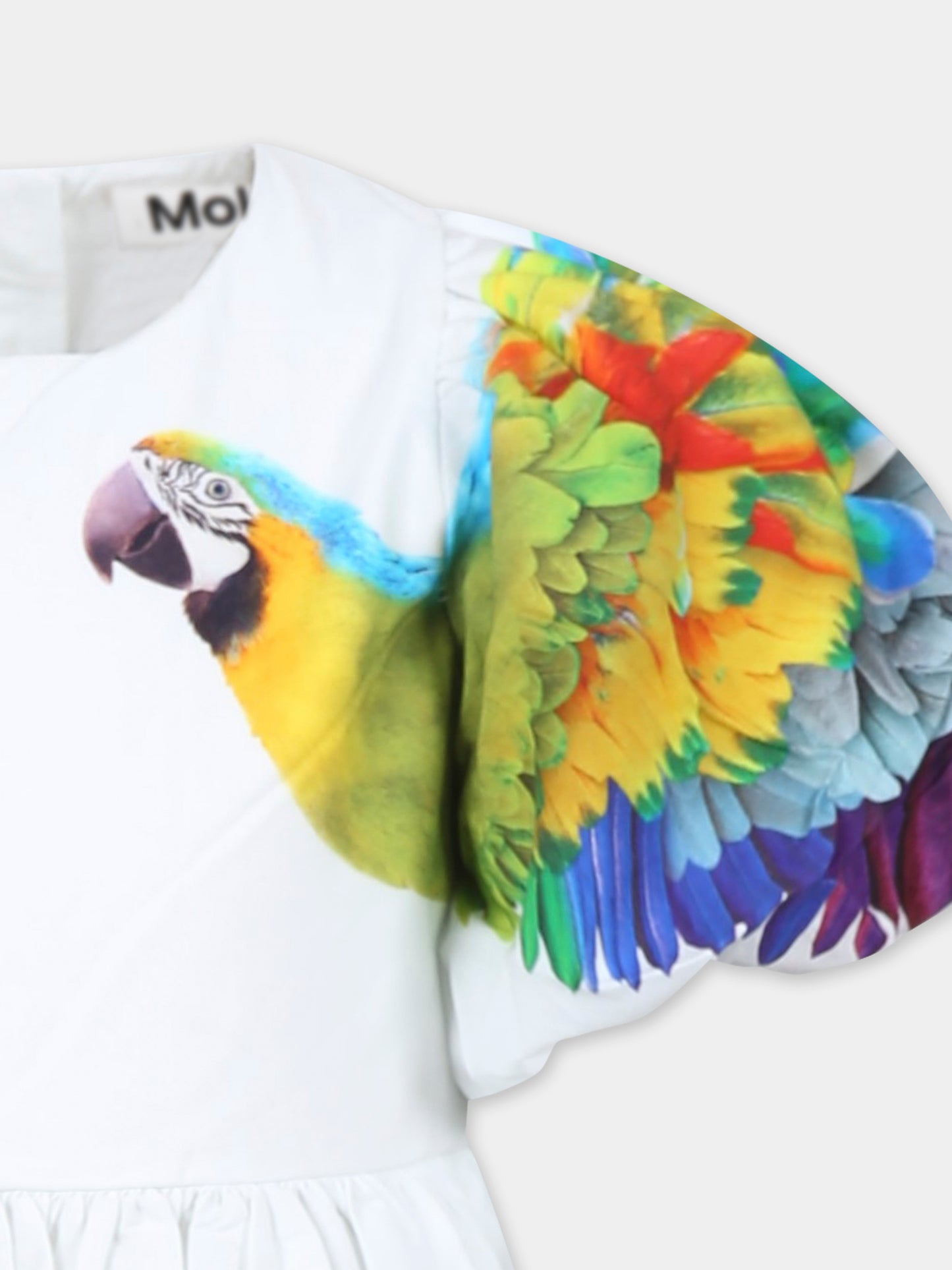 Vestito Chica celeste per bambina con stampa giungla,Molo,2S25E149 3989