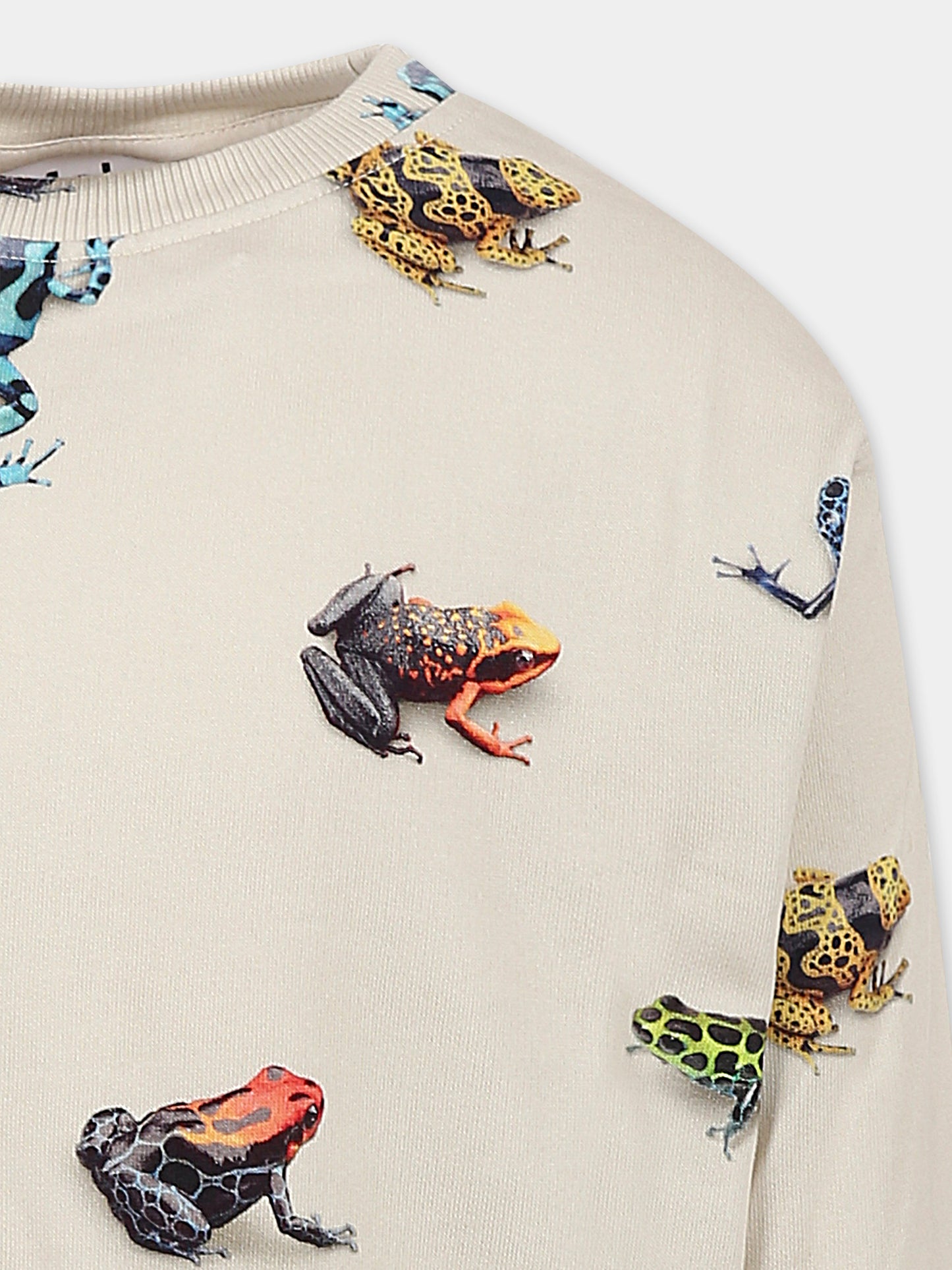 Felpa Mattis avorio per bambini con rane all-over,Molo,1S25J201 9311