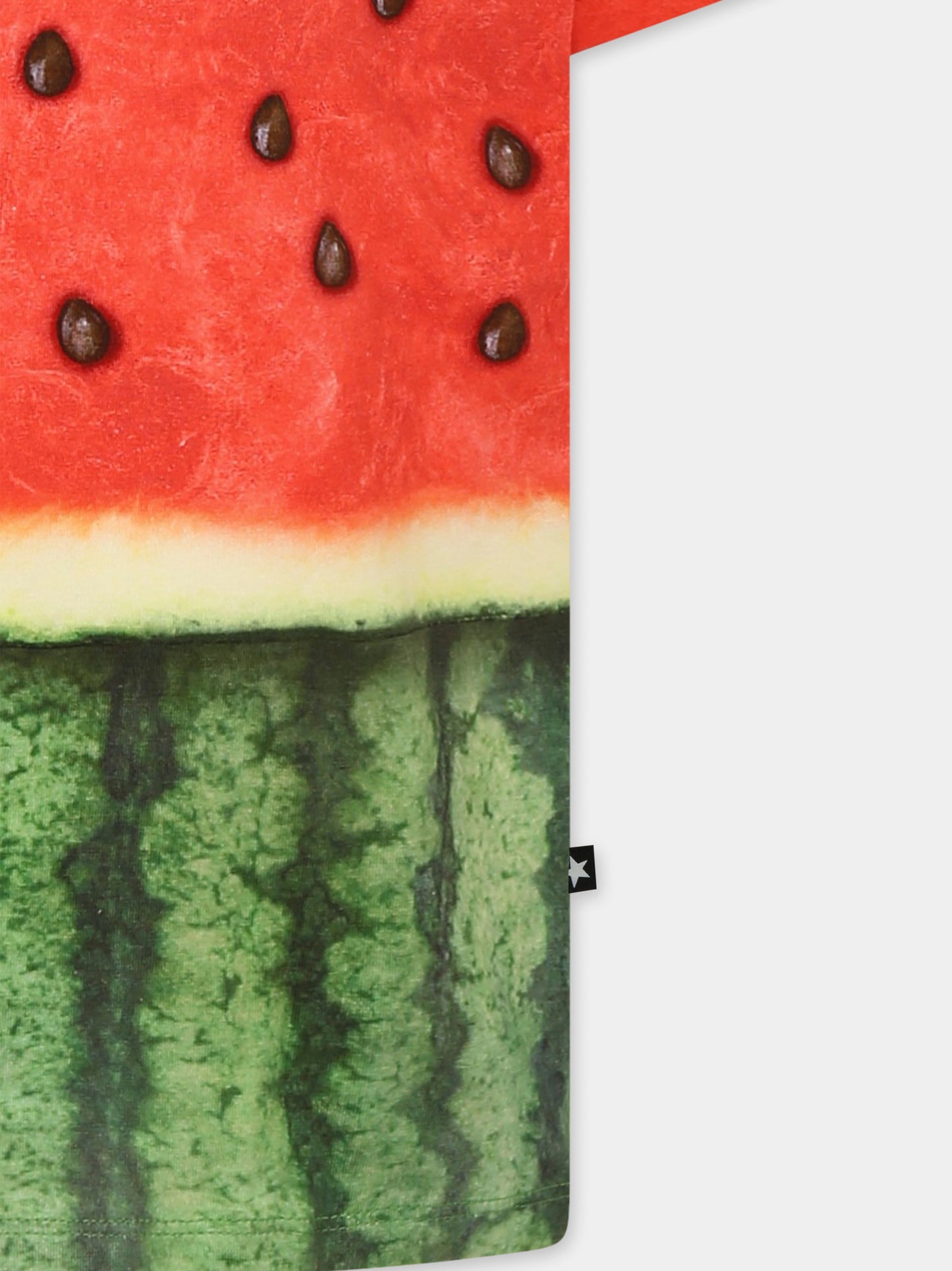 T-shirt Enzo rossa per bambini con stampa anguria,Molo,6S25A202 9341