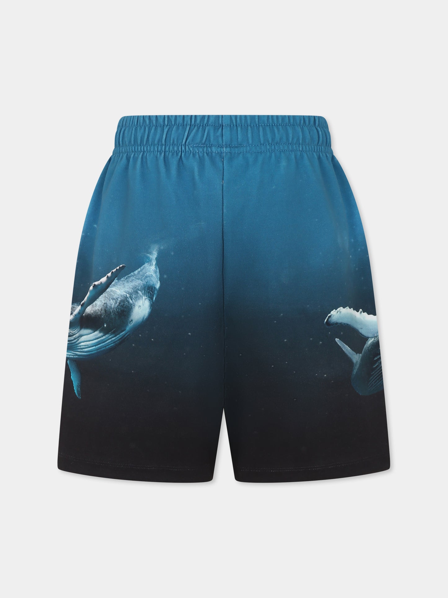 Shorts Amil azzurri per bambino con balena,Molo,1S25H207 3871