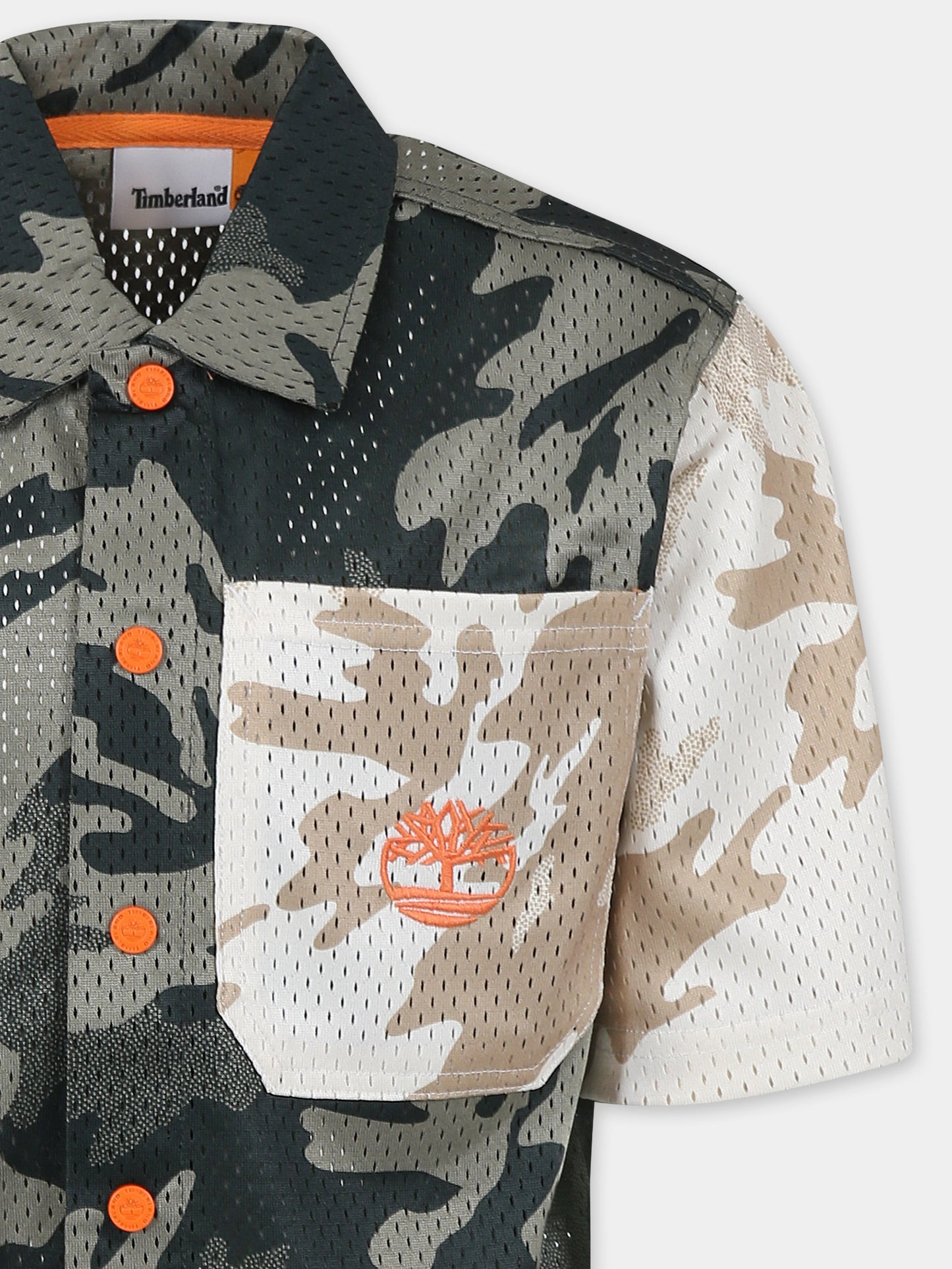 Camicia verde per bambino con albero,Timberland,T60441 72A