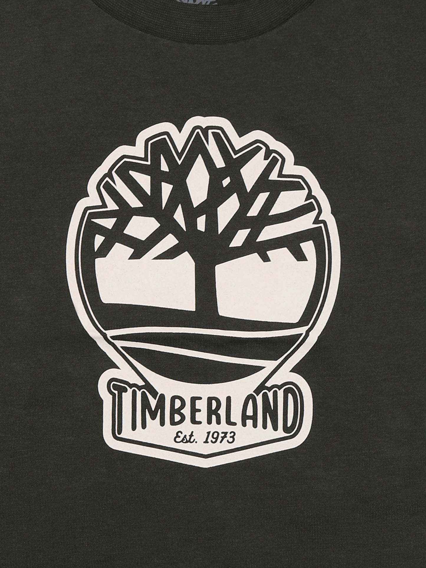 T-shirt verde per neonato con albero e logo,Timberland,T60506 72A