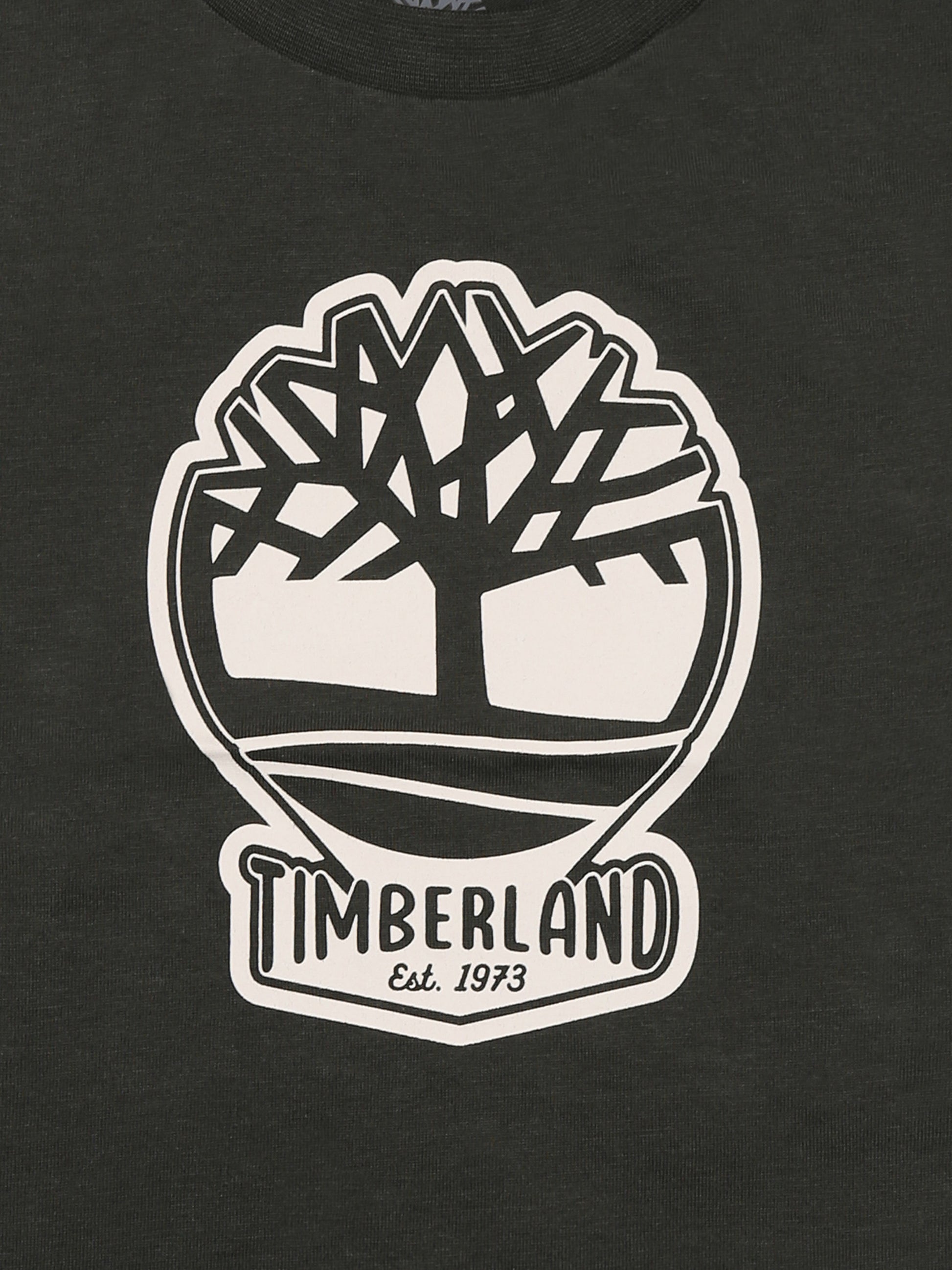 T-shirt verde per neonato con albero e logo,Timberland,T60506 72A