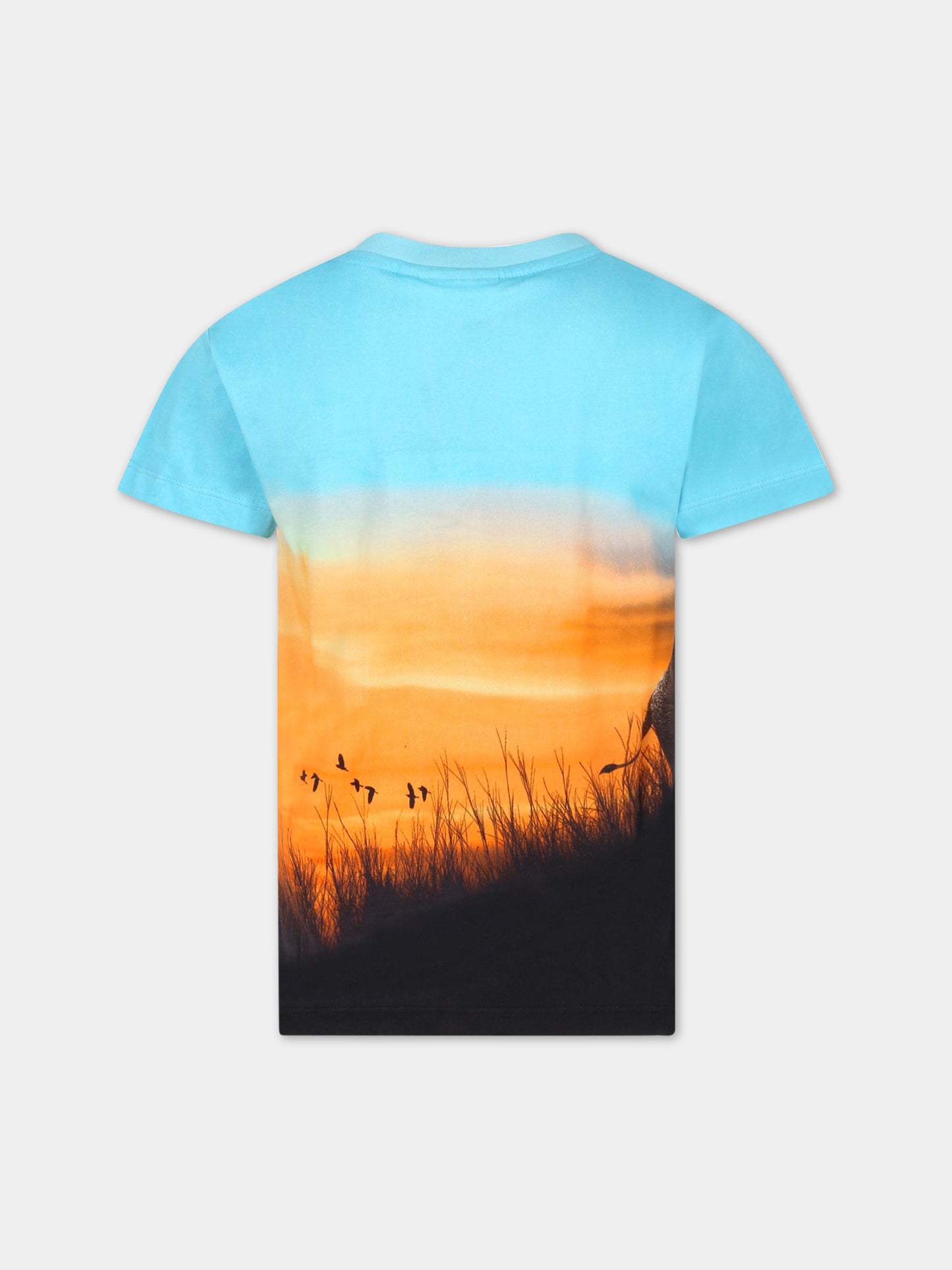 T-shirt multicolor per bambino con elefante,Molo,1S23A202 7907