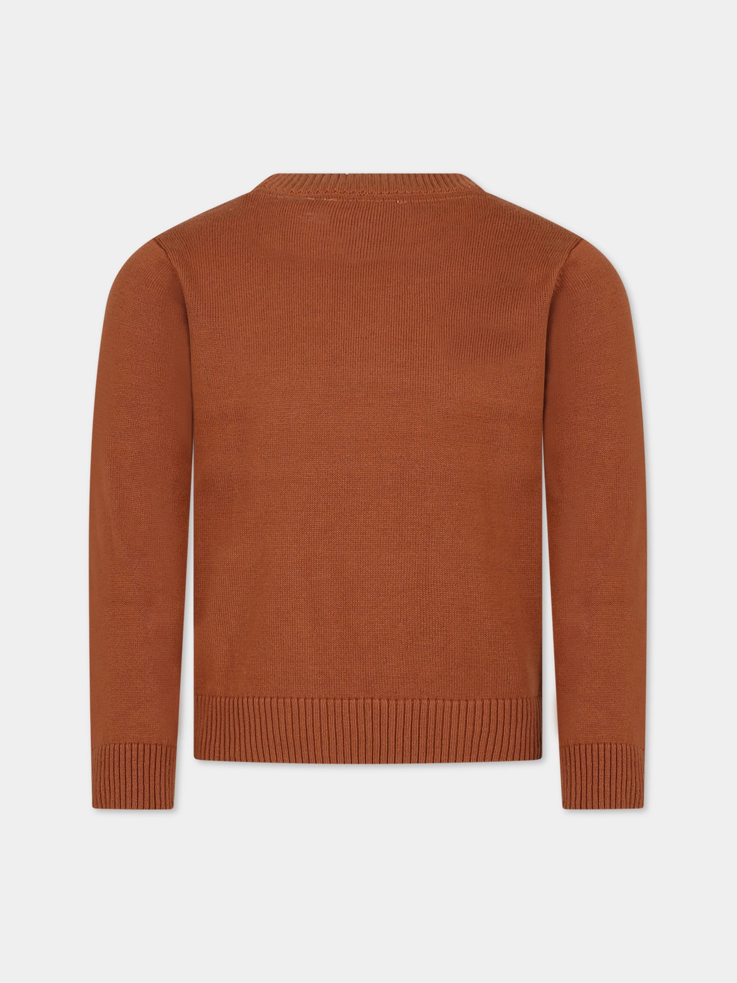 Maglione marrone per bambino con logo iconico,Timberland,T25U49 348